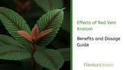 Effects of Red Vein Kratom: Benefits and Dosage Guide
