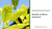 Gold Borneo Kratom Benefits & Effects Explained