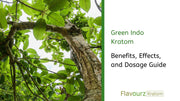 Green Indo Kratom: Benefits, Effects, and Dosage Guide