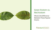 Green Kratom vs. Red Kratom: What is the Difference Between These Popular Strains