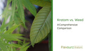 Kratom vs. Weed: A Comprehensive Comparison