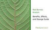 Red Borneo Kratom Effects, Benefits, and Dosage Guide